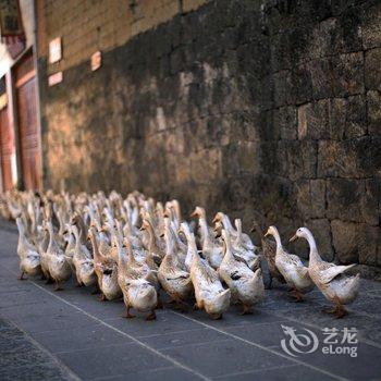 腾冲和顺海涛媳妇家精品客栈酒店提供图片