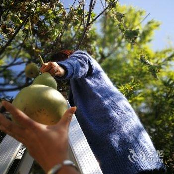 大理竹隐山房民宿酒店提供图片