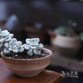 腾冲和顺海涛媳妇家精品客栈酒店提供图片