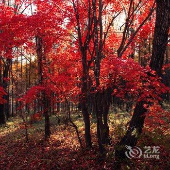 长白山松江河鑫琪宾馆酒店提供图片