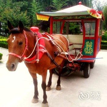 曲阜东方儒家花园酒店酒店提供图片