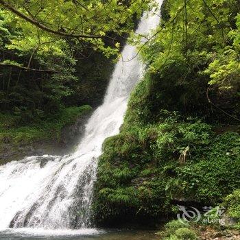 黟县打鼓岭三叠瀑农家客栈酒店提供图片