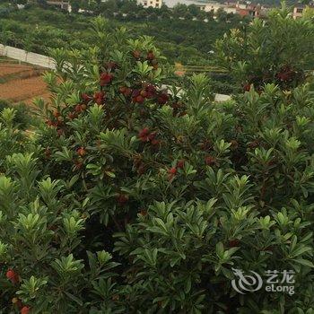 新宁戴先生酒庄民宿酒店提供图片