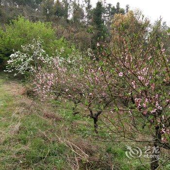 婺源明姬山庄宾馆酒店提供图片