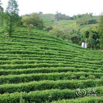 莫干山暗龙山庄酒店提供图片