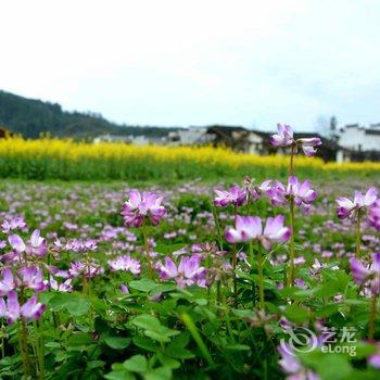 婺源沐心居客栈酒店提供图片