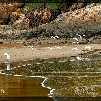 霞浦大京中街旅馆酒店提供图片