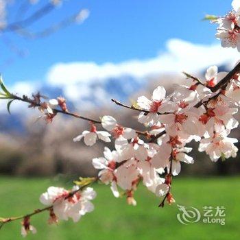 米林大峡谷启缘部落民宿酒店提供图片