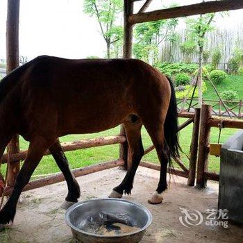 资阳幸福谷度假村酒店提供图片