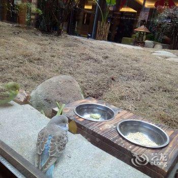 浙江千峡湖智选假日酒店酒店提供图片