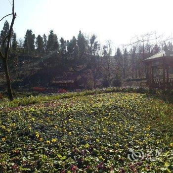 汶川鹞子山养生堂客栈酒店提供图片