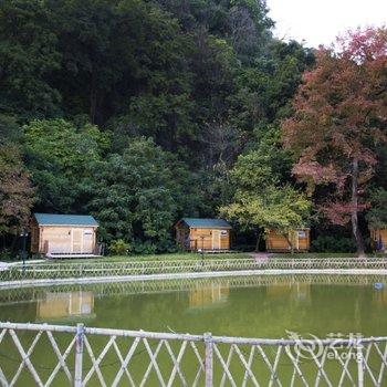 清远峰林墨客人文住宿酒店提供图片