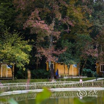 清远峰林墨客人文住宿酒店提供图片