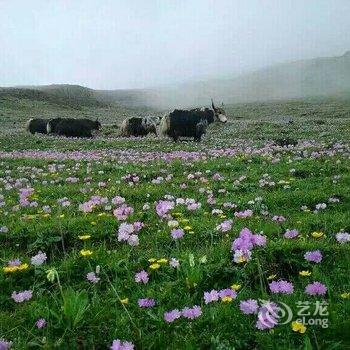 茂县云上尔玛客栈酒店提供图片