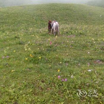 茂县云上尔玛客栈酒店提供图片