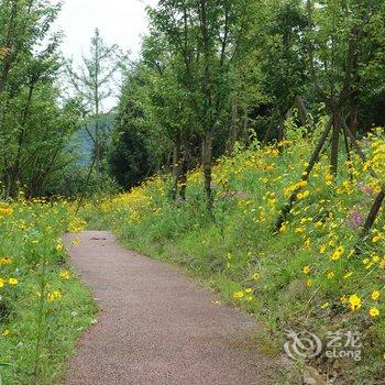 乐山归巢客栈酒店提供图片