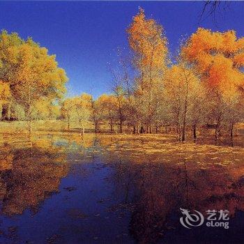 额济纳旗桂花村家庭宾馆酒店提供图片