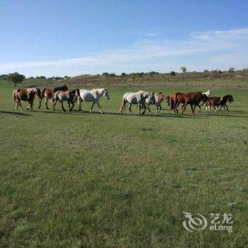 承德沙洲野泉休闲会馆酒店提供图片