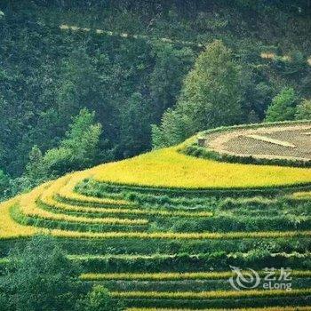 桂林龙脊金坑观光酒店酒店提供图片