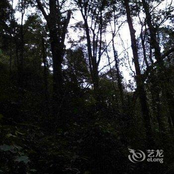 荔波茂兰好友之家客栈酒店提供图片