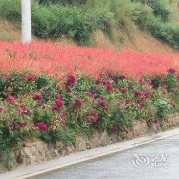 恩施大峡谷康利望香院酒店提供图片