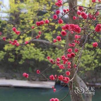 长兴上泗安宗族人文乡宿酒店酒店提供图片