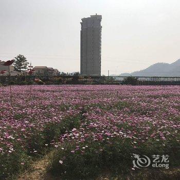 恩平山泉湾畔斯维登度假公寓酒店提供图片