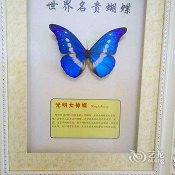 张北花海游牧客栈酒店提供图片