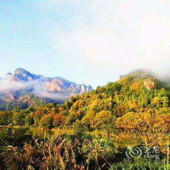 武夷山九月美宿·岩骨花香酒店提供图片