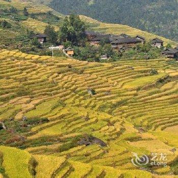 龙胜龙脊梯田楼外楼酒店酒店提供图片