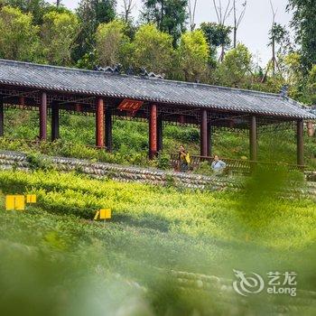 雅安藏茶奇缘主题客栈酒店提供图片