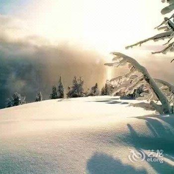 雪乡林海雪原宾馆酒店提供图片