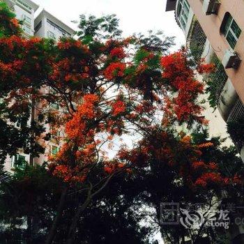 深圳南山区平行时空青年旅舍酒店提供图片