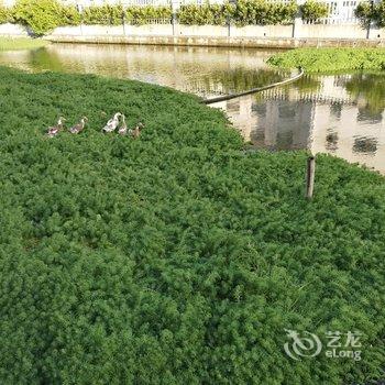 西塘水恋临河精品客栈酒店提供图片