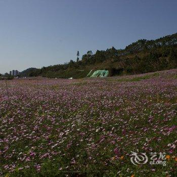 惠州风柠假日温泉别墅酒店提供图片