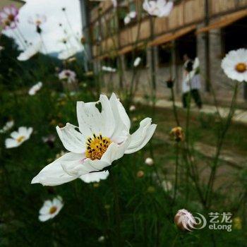 雷山艺仚仚民宿酒店提供图片