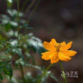 莫干山富鸿山居酒店提供图片