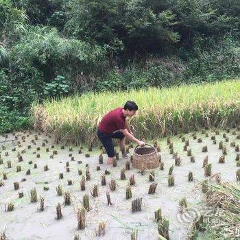 西江千户苗寨大院酒店提供图片