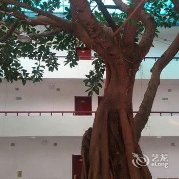 珠海外伶仃岛山海楼度假村酒店提供图片