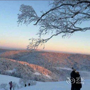 雪乡柳敦喜家庭旅馆酒店提供图片