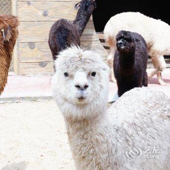 肇庆宋隆小镇度假酒店酒店提供图片