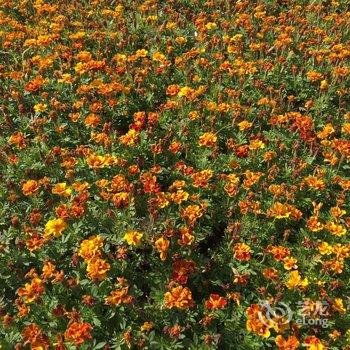 花莲羊角民宿酒店提供图片