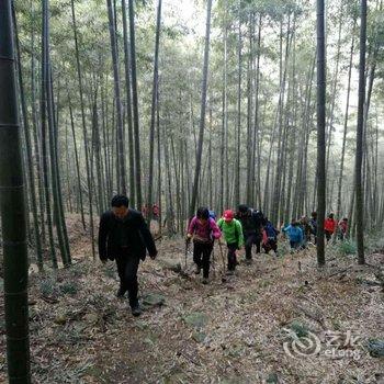 德清莫干山嵩溪山庄酒店提供图片