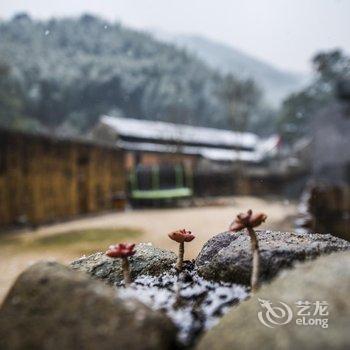 奉化溪口栖霞山居酒店提供图片