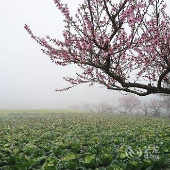 南投集集倍诗泰民宿酒店提供图片