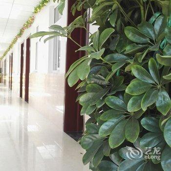 东戴河奥桐渔家院酒店提供图片