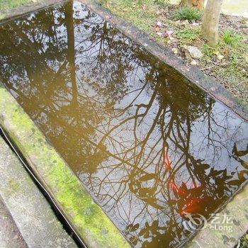 雅安碧峰峡天然居客栈(原上善人家民宿)酒店提供图片