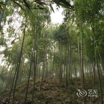 莫干山涧小筑酒店提供图片