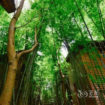 珠海艾贝斯特·十里莲江度假酒店(原十里莲江农业观光体验园)酒店提供图片