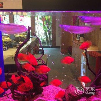 浙江千峡湖智选假日酒店酒店提供图片